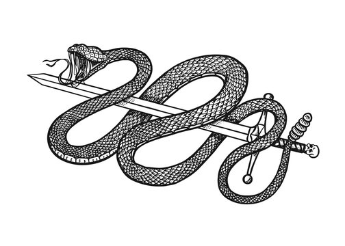 Snake with a sword in Vintage style. Serpent cobra or python or poisonous viper. Engraved hand drawn old reptile sketch for Tattoo. Anaconda for sticker or logo or t-shirts.
