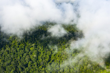 View from above, stunning aerial view of a tropical rainforest with clouds formed from water vapor released from trees and other plants throughout the day. Taman Negara National Park, Malaysia.
