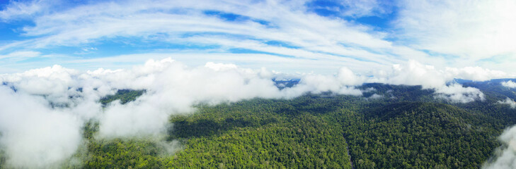 Fototapeta premium View from above, stunning panoramic view of the Taman Negara National Park with the tropical rainforest and beautiful soft clouds. Taman Negara National Park, Kuala Tahan, Pahang State, Malaysia.