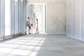 Business people discussing plans before meeting in office hall