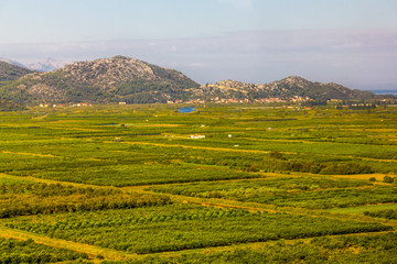 Plantations in the Neretva delta in southern Dalmatia, Croatia