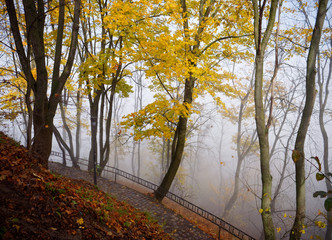 Fototapeta premium fog in the park of the city of Lviv, Ukraine