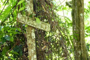 (Selective focus) A signboard in the Taman Negara National Park indicates the direction for Kuala Tahan. Taman Negara National Park, located in Peninsular Malaysia is the world's oldest rainforest.