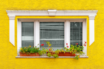 Fototapeta na wymiar White window on a yellow wall. Facade of a residential building with decoration elements.