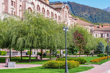 Trees on the streets of Krasnaya Polyana. Adler district. Russia.