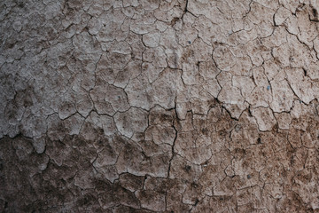soil cracked background, land in dry season , Dried cracked earth soil ground texture background