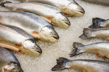 Fresh red fish on the counter with crushed ice. Ingredients for cooking with fish.
