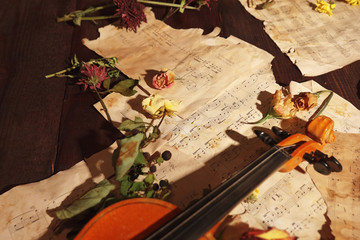 Violin, dried flowers and rare sheet music on wooden background close up.