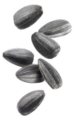 Flying sunflower black seeds, isolated on white background