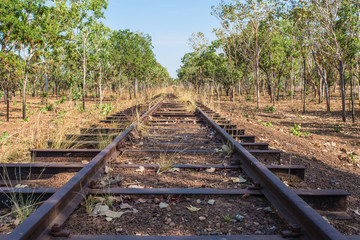 Obraz premium Verlassene Bahngleise