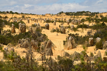 Fototapeta na wymiar The pinnacles desert near Perth in Western Australia