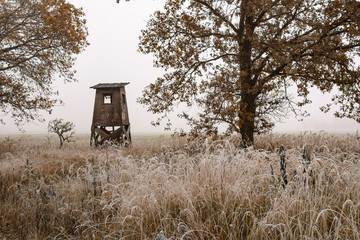 Kanzel am frühen und frostigen Herstmorgen