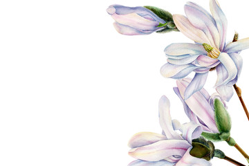 magnolia spring flowers on an isolated white background, watercolor illustration, greeting card with space for text, bouquet of flowers