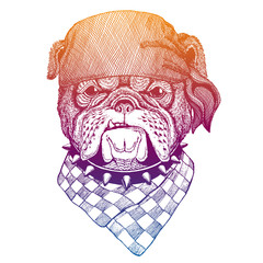British bulldog. Wild pirate or biker. Vector animal portrait. Sailor, motorcyclist. Print for children clothing, tee. Kids fashion.