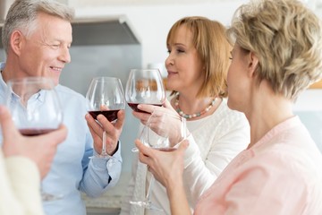 Happy mature couple toasting wineglasses by friends at home