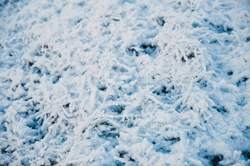 Snow covered frozen grass. White winter texture, top down view.