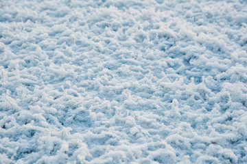 Snow covered frozen grass. White winter texture, top down view.