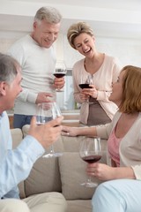 Smiling mature friends holding wineglasses while talking at living room