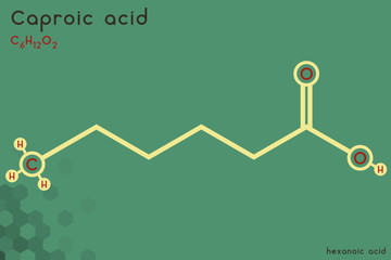 Large and detailed infographic of the molecule of Caproic acid