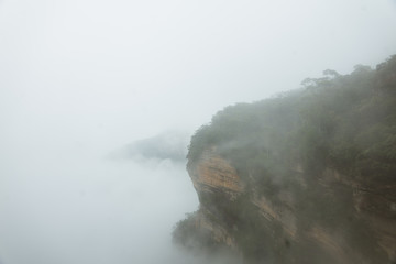 Mist in the Blue mountains in Australia