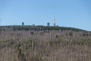 Ausmaße der Borkenkäfer Plage im Harz