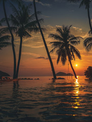 Pool with palm trees near the ocean during a beautiful sunset