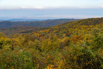Panorama of Mount Fruska Gora in the fall
