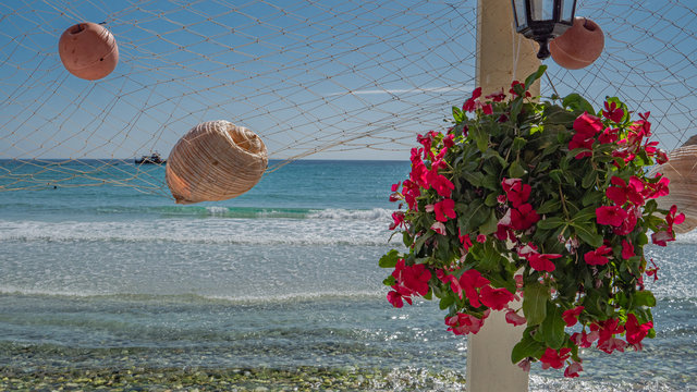 flowers on the golden beach Thassos 