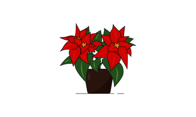 Christmas poinsettia vector illustration. Flat linear winter flower, Christmas star. Holiday decoration. For postcards, greetings, cards, logo. 