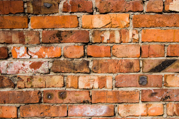 Fragments of old brickwork. Red Cypriot. Natural weathering. Concept design for the interior.