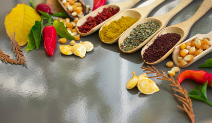 Assortment of fresh vegetables and spices. On bright background.Copy space