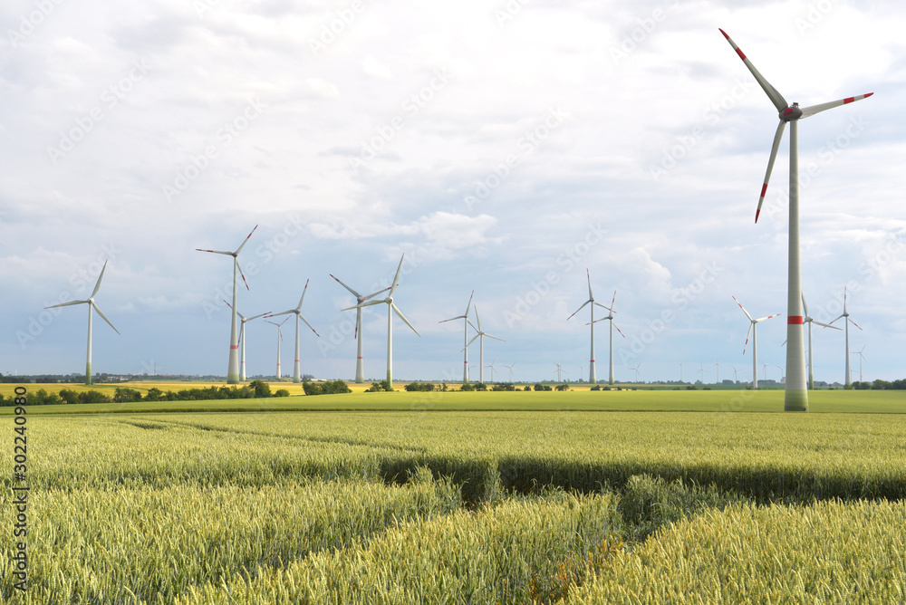 Wall mural renewable energies - power generation with wind turbines in a wind farm