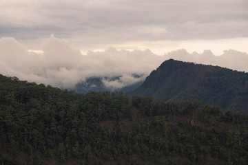 hiking through Australia