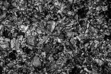 black burnt embers close up background texture