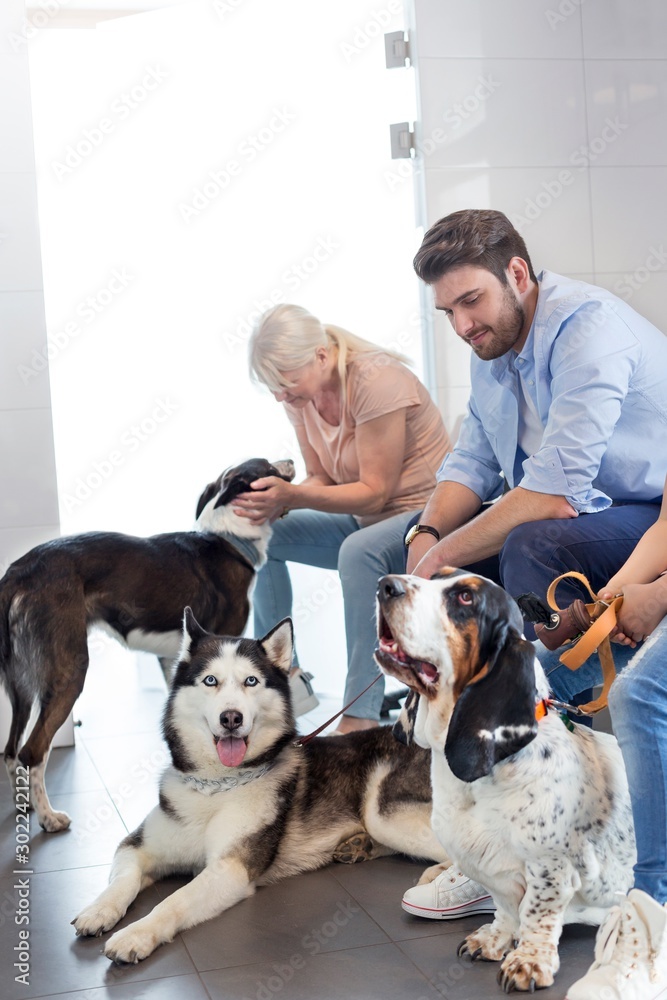 Wall mural Veterinary clinic.