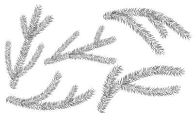 Collection of five grey vector branches