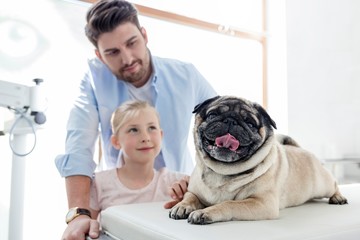 Photo of Father and daughter with their cute dog pug in Veterinary clinic