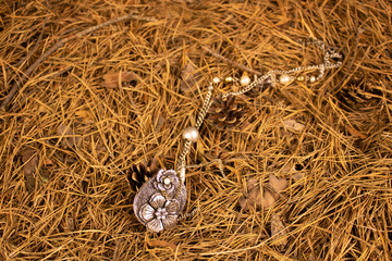 Old silver brooch on a pillow of dry pine needles