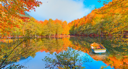 Autumn landscape in (seven lakes) Yedigoller National Park - Bolu, Turkey