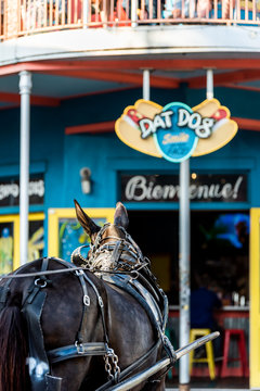 New Orleans, USA - April 22, 2018: Restaurant Dat Dog selling hot dogs with horse carriage tour buggy on Frenchmen street, road blue colorful building entrance sign