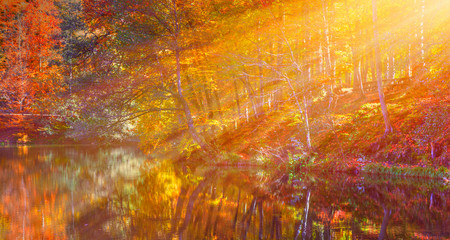 Autumn landscape in (seven lakes) Yedigoller National Park - Bolu, Turkey