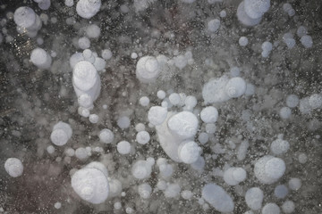 White circles, abstraction.