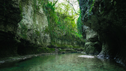 river in the mountains with green plants in Georgia