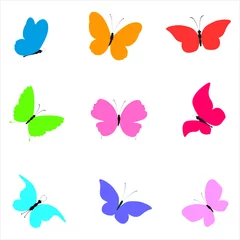 Fototapete Schmetterlinge 11425