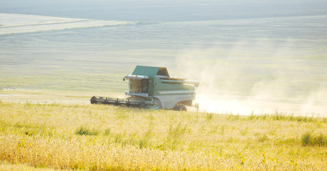The harvester harvests from the field