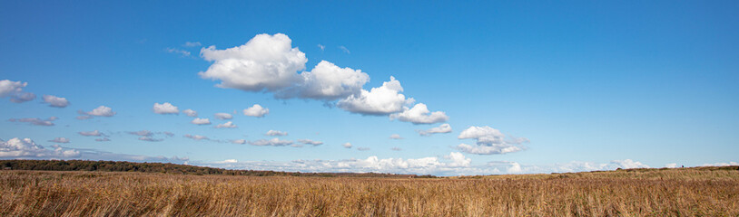 Obraz premium Clouds in a Blue Sky over the Coast
