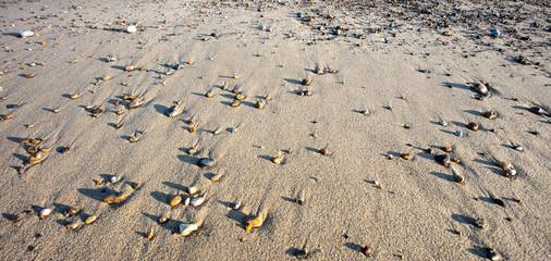 Pebbles on the beach at low tide