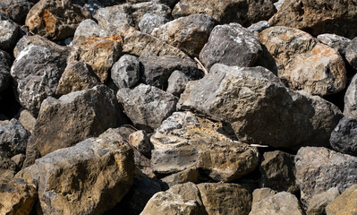 Big rocks on a beach in a sunlight.