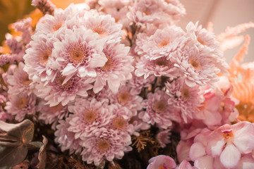 Soft pastel color tone of bouquet of chrysanthemum flowers