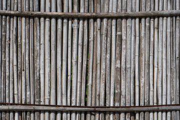 Dry bamboo fence texture or background. Eco natural background concept.
